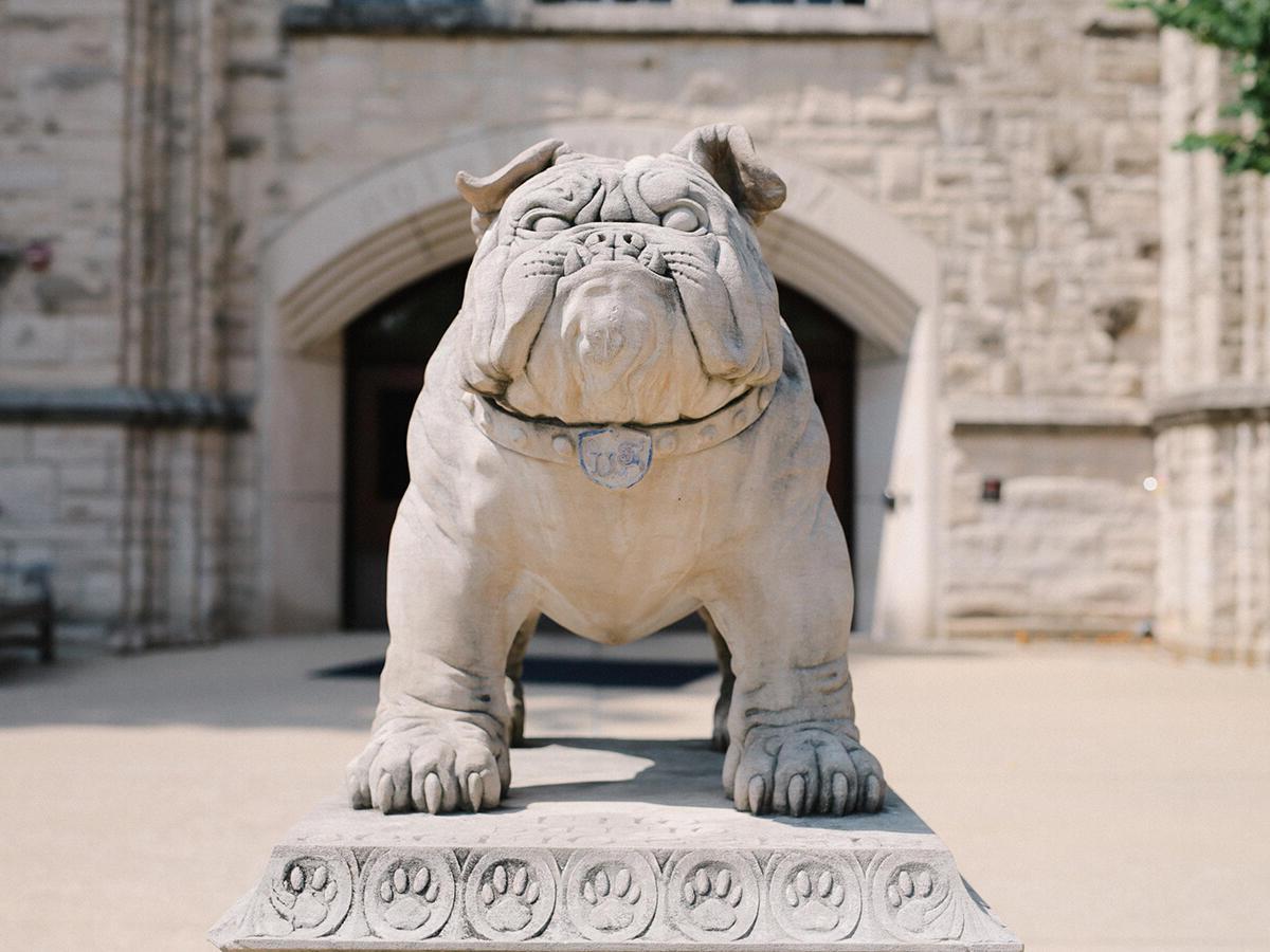 博彩平台排名 bulldog statue on campus